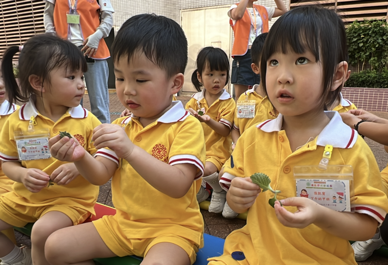 幼兒班「天悅遊賞園」